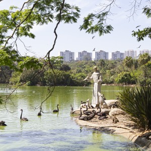 ZOOLÓGICO DE SÃO PAULO - SP