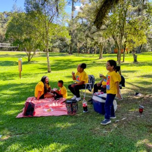 Parque do Caracol (RS)