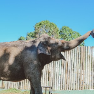 BioParque do Rio